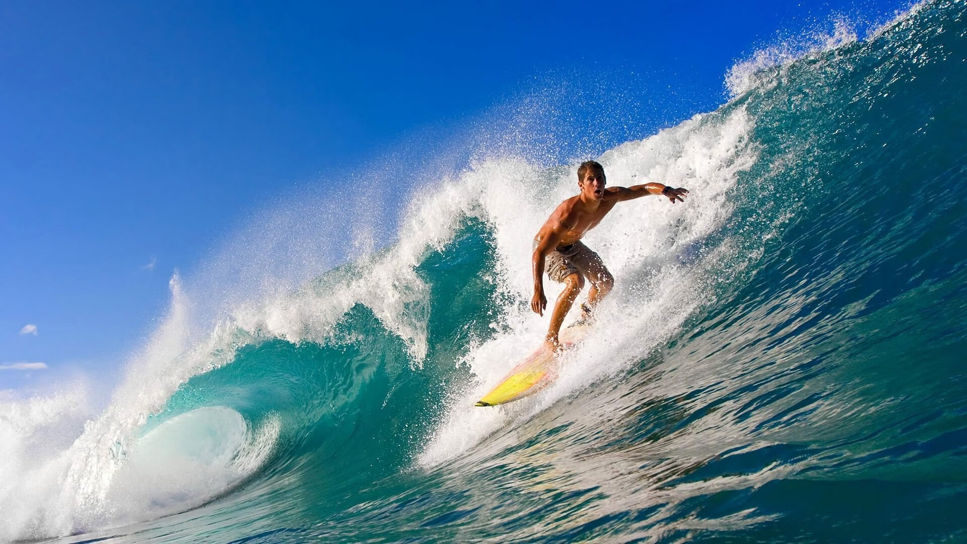 乔纳·隆戈：从世界杯舞台到全球橄榄球的巨星，乔纳坦 个人资料生日