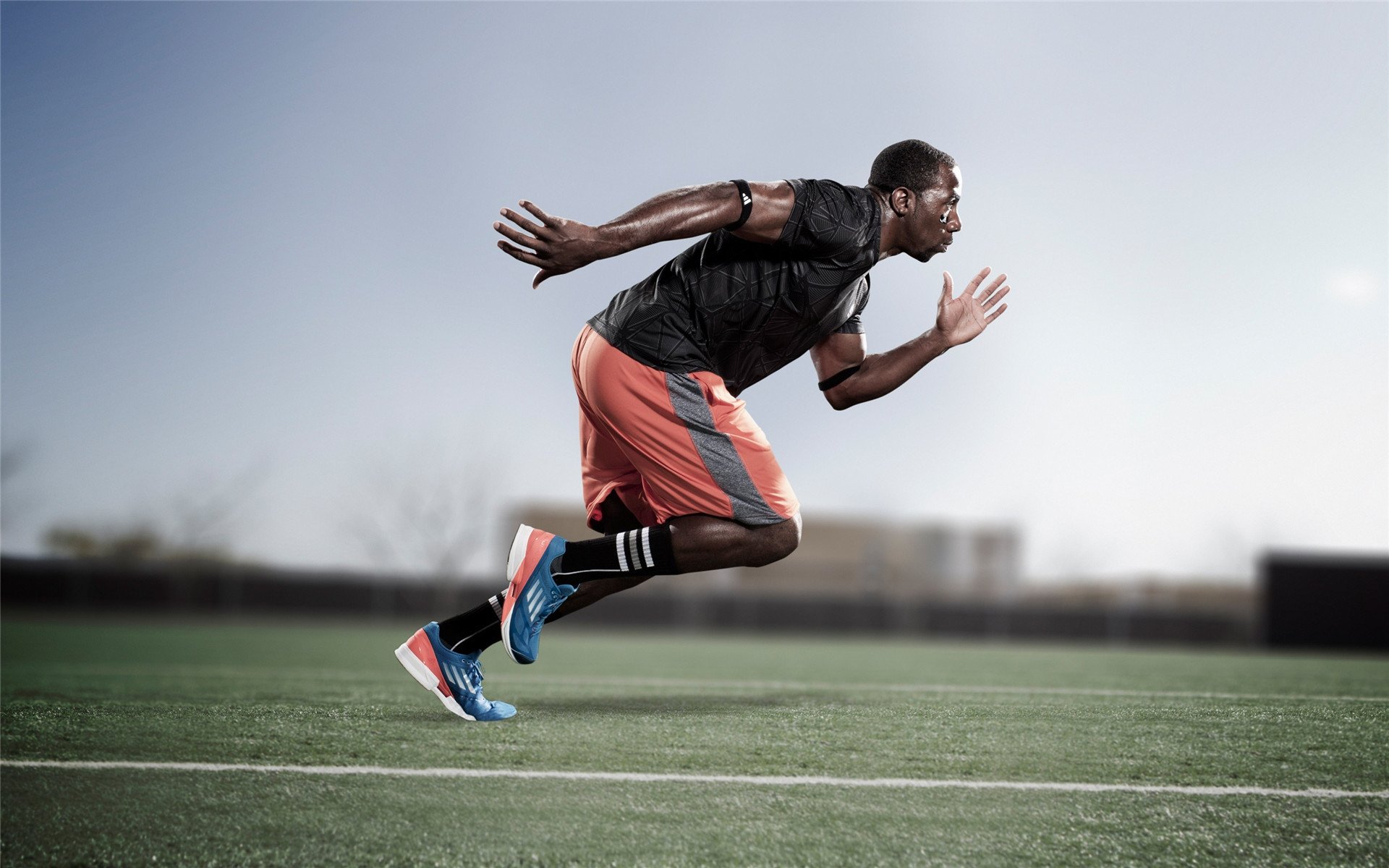 体育赛事现场管理优化，体育赛事管理要素